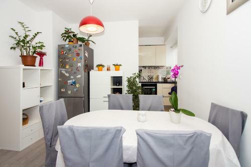 Apartment Domnius