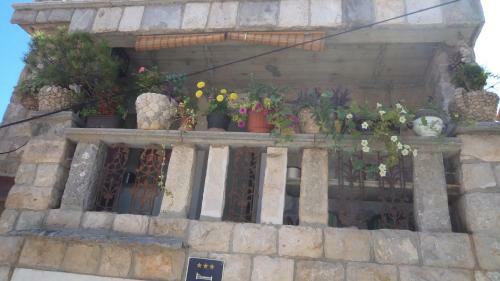 Hostal The Palm