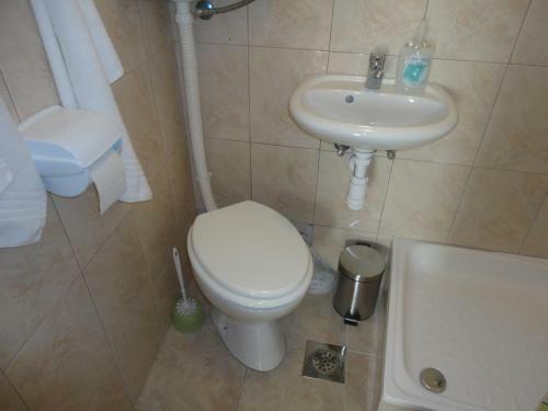 Comfortable Apartment Basa
