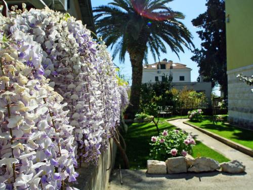Apartment Pavi�