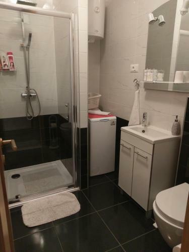 Apartment Citadela