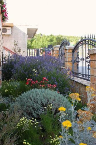 Apartment Maslenica 6572c