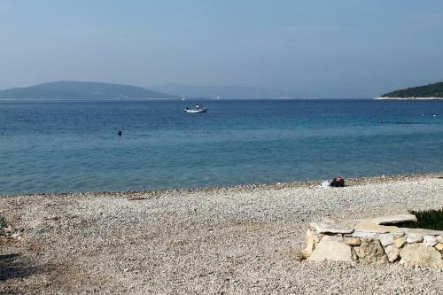Seaside Holiday House Maslinica (solta) - 14017