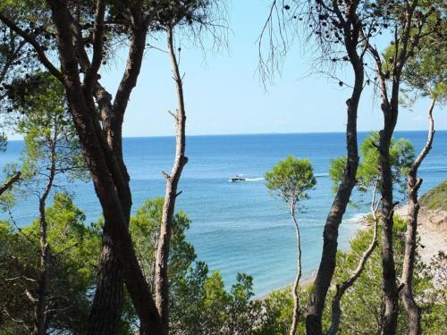 Villa Martina