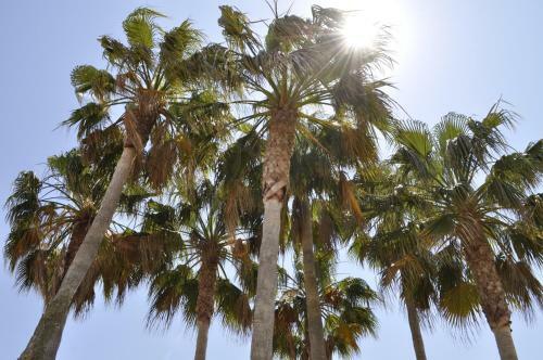 Apartamento Family Beach Club Sevilla II