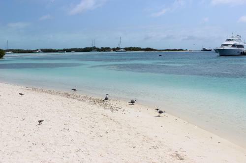 Posada Mediterraneo Los Roques - Vip