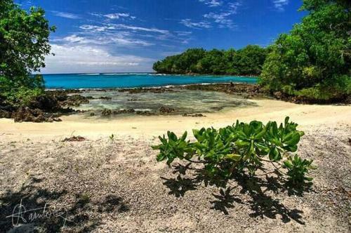 Hotel Hideaway Paradise Beach Bungalows