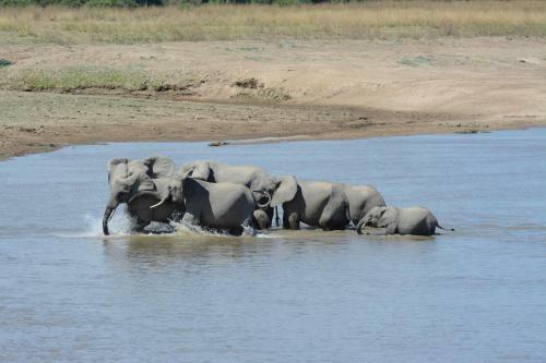 Lodge Zikomo Safari