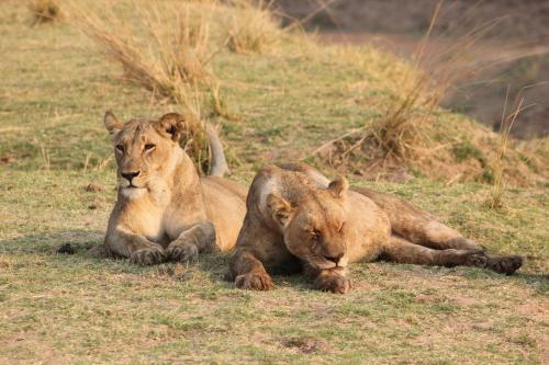 Lodge Zikomo Safari
