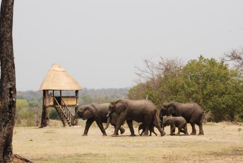 Lodge Bushbuck River House