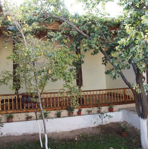 Hostal Family House Hostel In Urgench, Uzbekistan