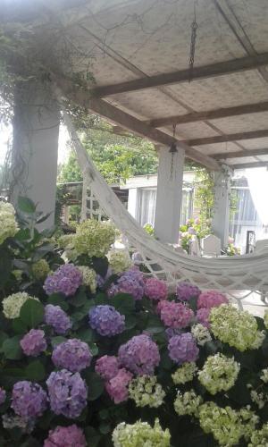 Hotel La Casa De Juan