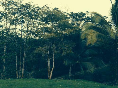 Apartamento El Suzanne Rainforest Lodge