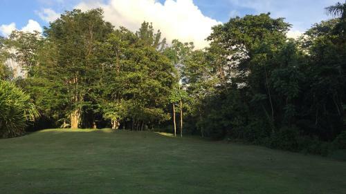Apartamento El Suzanne Rainforest Lodge