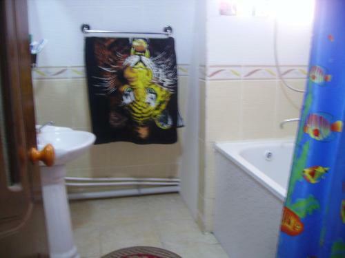 Hostal Sayfi Gueshouse