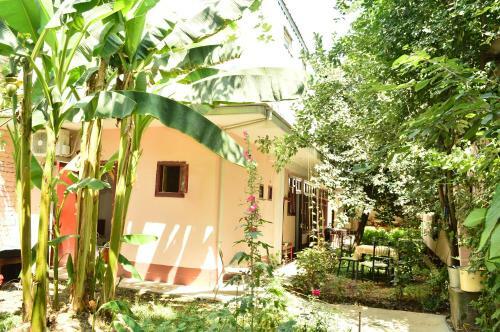 Hostal Sayfi Gueshouse