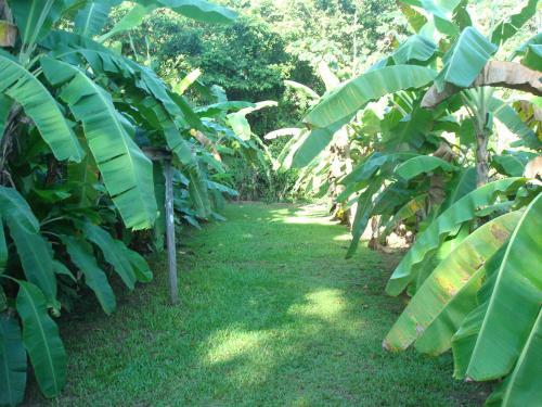 Surinat Luxury Resort