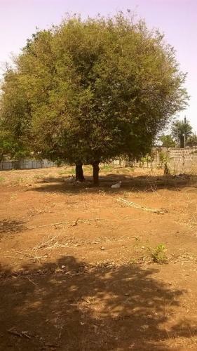 Hostal Airport Lodge Lungi