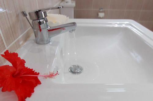 Apartamento Coco Blanche