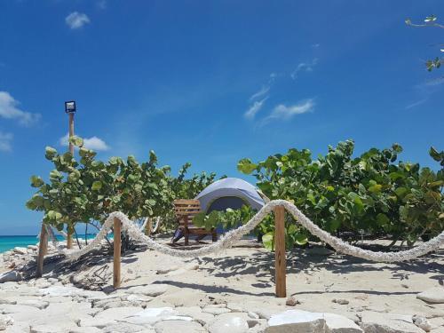 Glamping Ecolodge Cueva De Las Aguilas