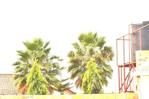 Martin Aviator Hotel