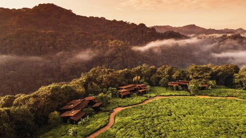 Lodge One&only Nyungwe House