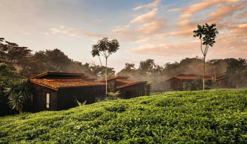 Lodge One&only Nyungwe House