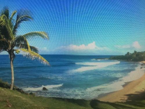 Apartamento Condo Aguada Puerto Rico