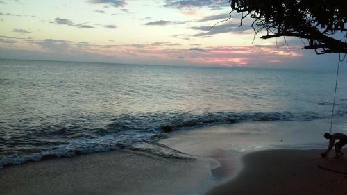 Blue Whales Beach Apartments