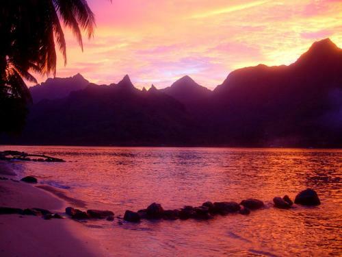 Robinson's Cove Villas - Deluxe Wallis Villa