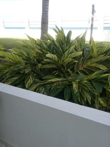 Apartamento Ocean Dreams