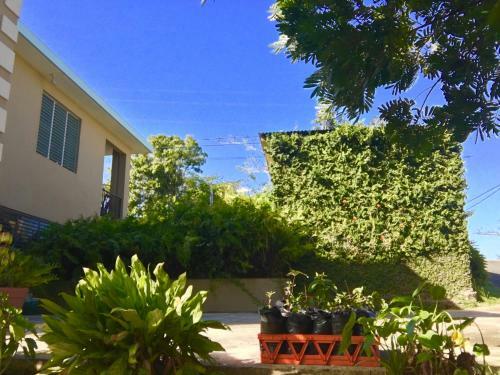 Hostal Garden Of Enid