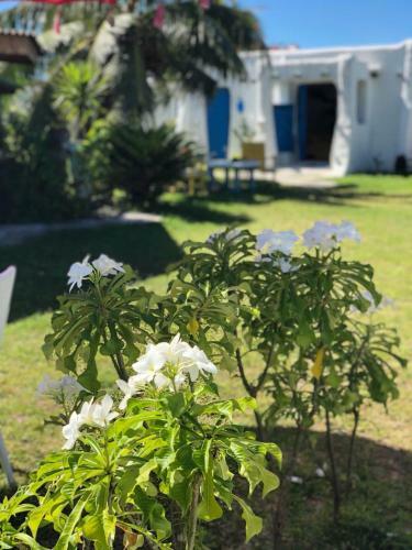 Hostal Anapa Beach Guesthouse