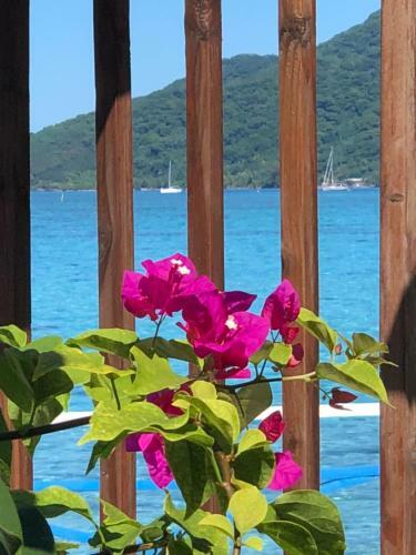 Hostal Anapa Beach Guesthouse