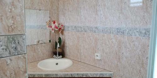 Apartamento Iaorana Appartement 100m2