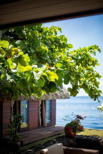 Villa Bora Bora Lagoon