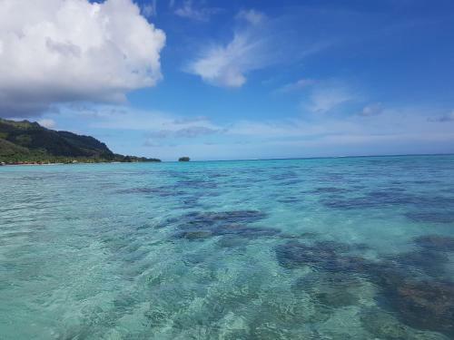 Paradise Island Moorea