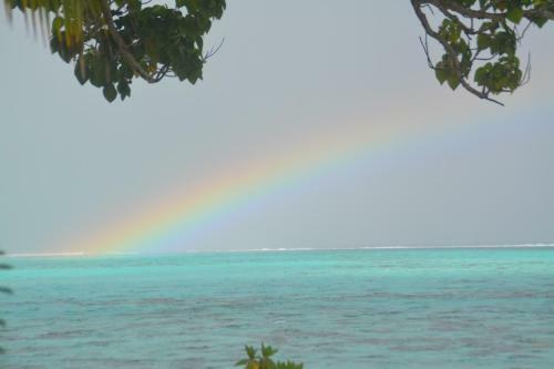 Paradise Island Moorea