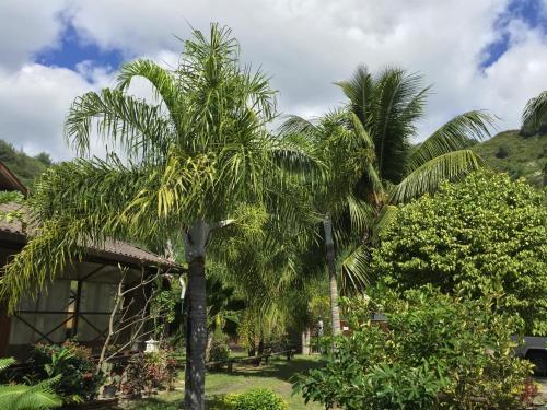 Hostal Taoahere Beach House
