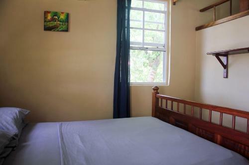 Hotel Big Falls Extreme Adventures