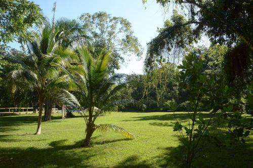 Lodge Howler Monkey Resort
