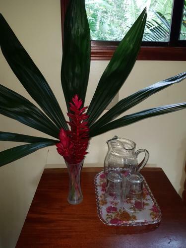 Bed & Breakfast Better In Belize Eco Lodge
