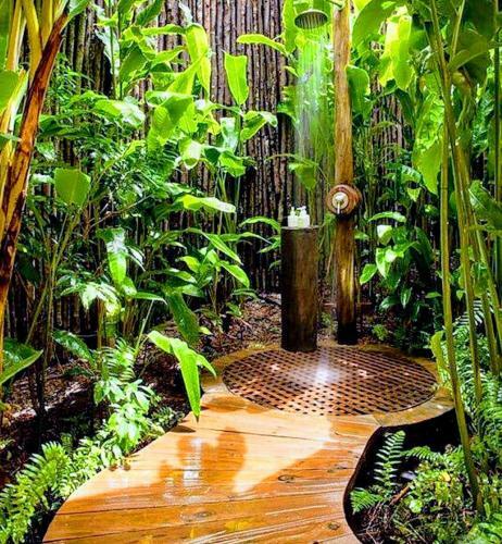 Agroturismo Dk Coconut Eco Cabanas