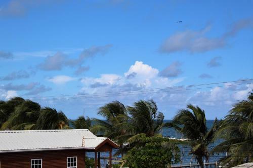 Barefoot Caye Caulker Hotel
