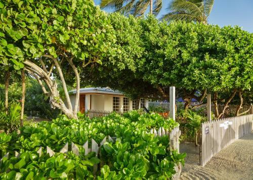 Weezie's Ocean Front Hotel And Garden Cottages