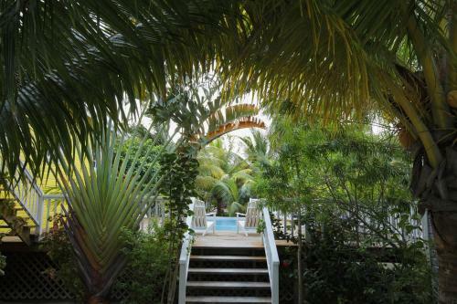 Weezie's Ocean Front Hotel And Garden Cottages