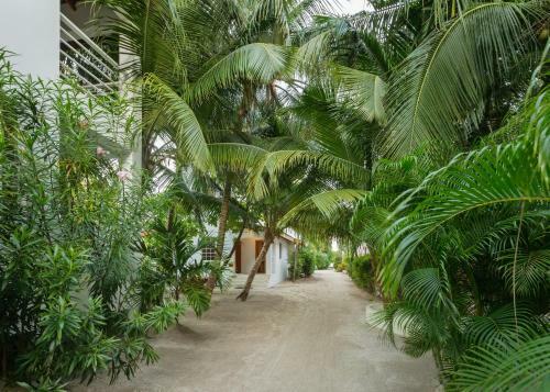 Weezie's Ocean Front Hotel And Garden Cottages