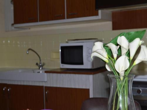 Apartment Argeles Sur Mer - 4 Pers, 38 M2, 2/1