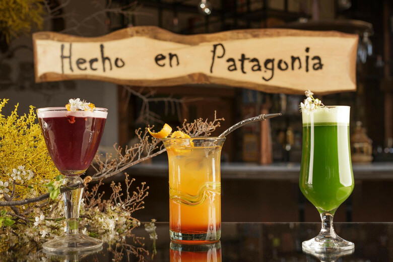 Hotel Las Torres Patagonia