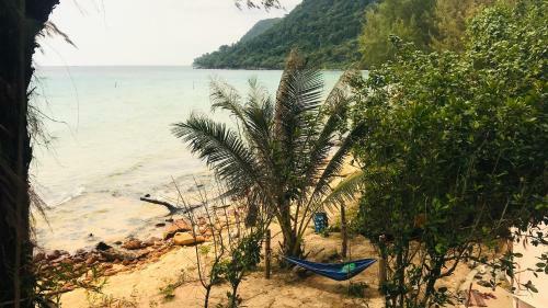 Albergue Robinson Bungalows